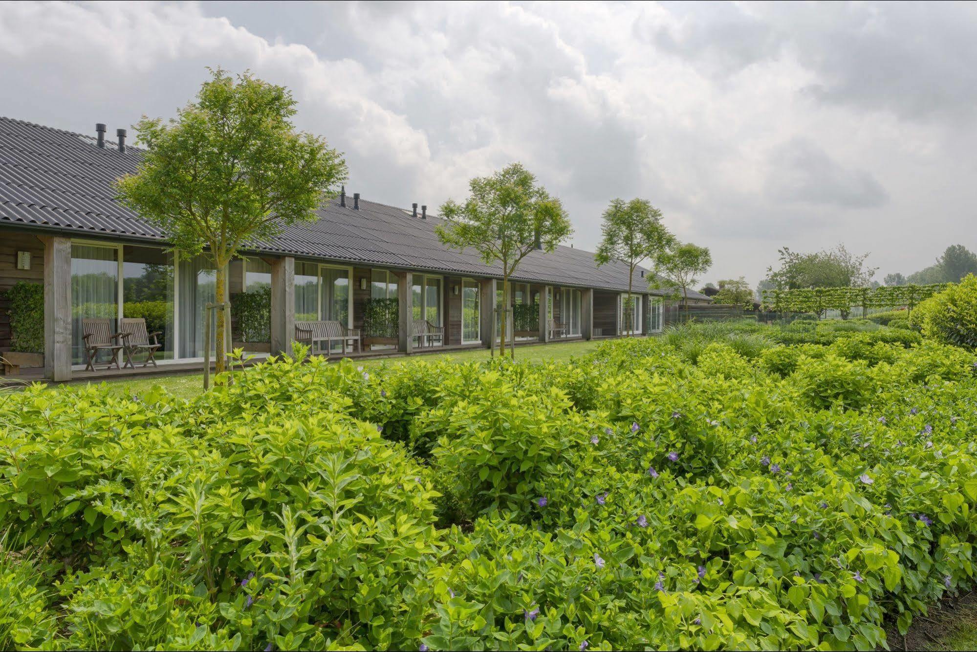 אלמיר Lodgerie Het Groene Geheim מראה חיצוני תמונה